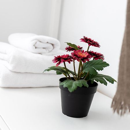 Appartamento Piso Centrico Y Elegante Granada Esterno foto
